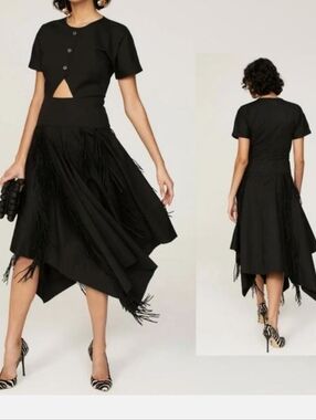 Bibhu Mohapatra RTR Black Cutout Handkerchief Hem Fringe Dress Size 2